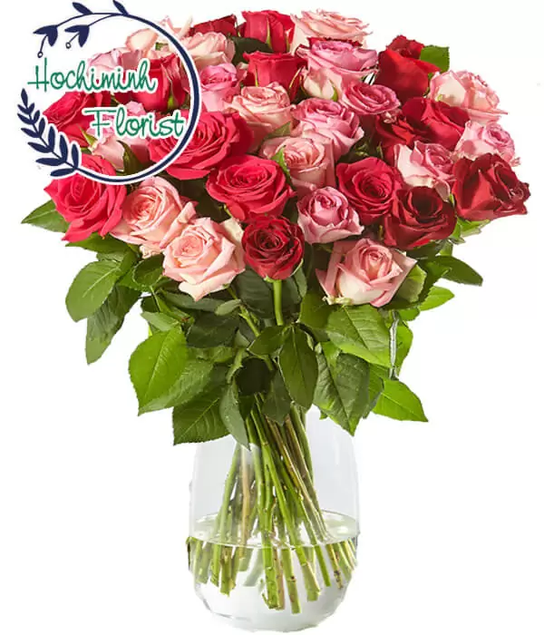 A special gift for You