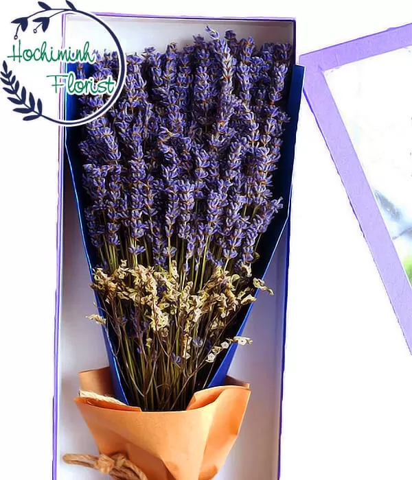 Tiny Field of Lavender 