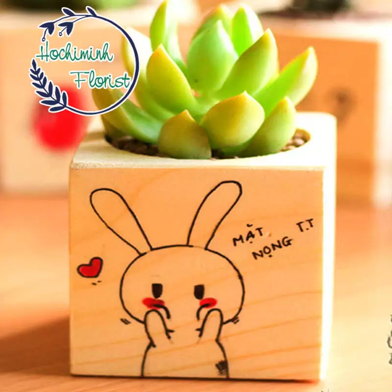 Big Love in Small Box