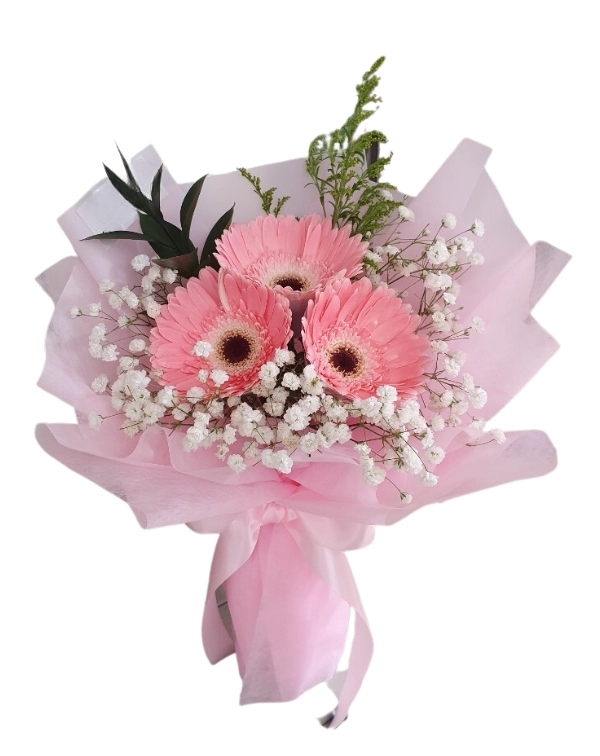 1 To 11 Pink Gerberas In A Vase