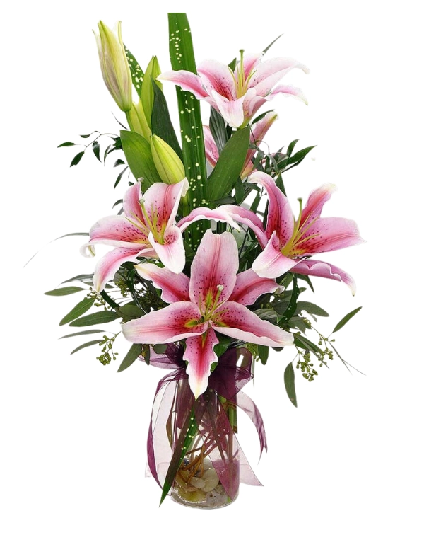 Lingered Sweet